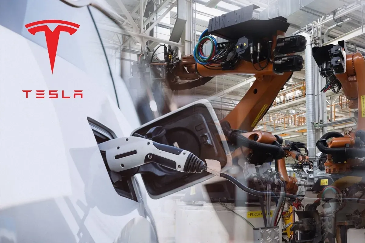 Автомобили Tesla впервые попали в перечень госзакупок Китая