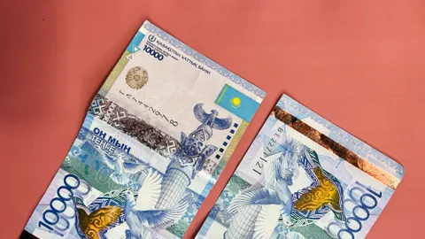 Фото: Валерия Змейкова